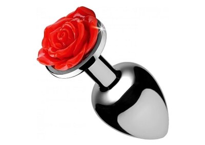 PLUGS
